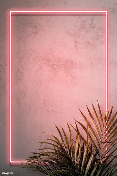 Premium illustration of Pink neon frame on a wall with tropical. Flower background , Neon HD phone wallpaper Free download, Neon frame